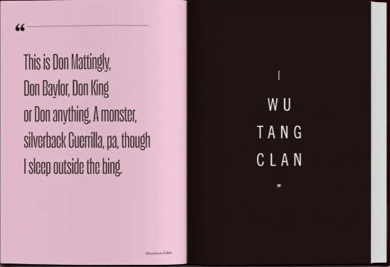 Big L Designated Hitters Vol.1 Baseball Card Book